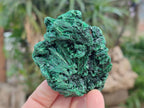 Natural Silky Malachite Specimens x 6 From Kasompe, Congo - Toprock Gemstones and Minerals 
