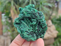 Natural Silky Malachite Specimens x 6 From Kasompe, Congo