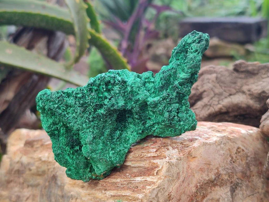 Natural Silky Malachite Specimens x 6 From Kasompe, Congo - Toprock Gemstones and Minerals 