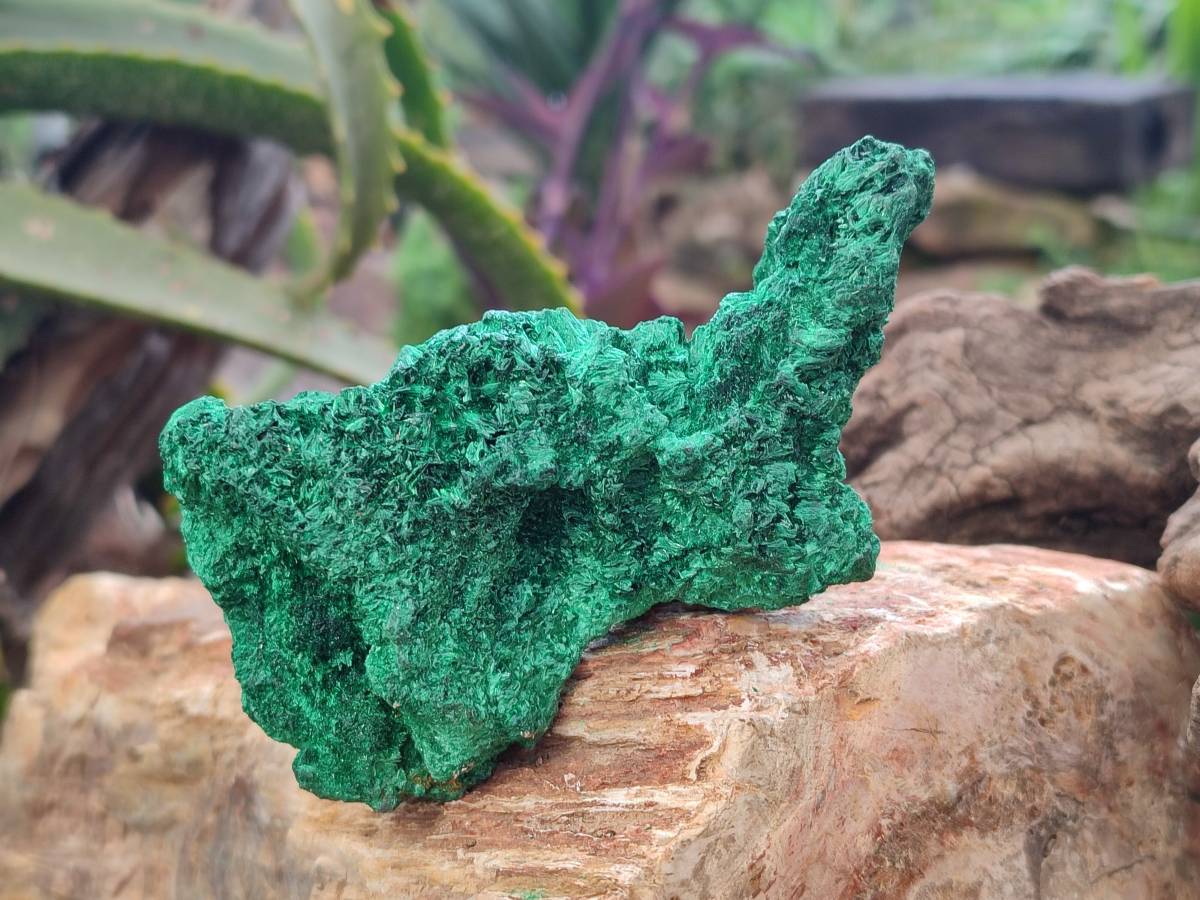 Natural Silky Malachite Specimens x 6 From Kasompe, Congo - Toprock Gemstones and Minerals 