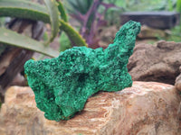 Natural Silky Malachite Specimens x 6 From Kasompe, Congo
