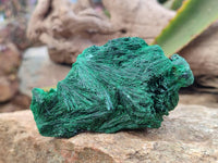 Natural Silky Malachite Specimens x 6 From Kasompe, Congo