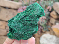 Natural Silky Malachite Specimens x 6 From Kasompe, Congo