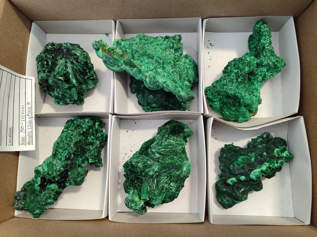 Natural Silky Malachite Specimens x 6 From Kasompe, Congo - Toprock Gemstones and Minerals 
