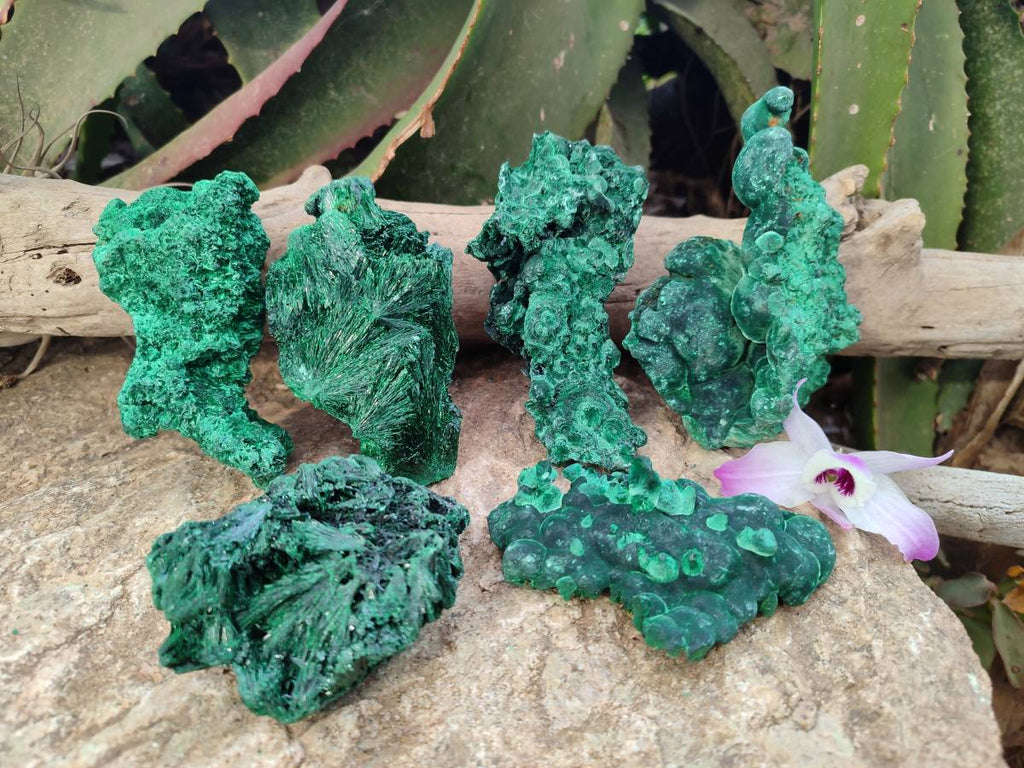 Natural Silky Malachite Specimens x 6 From Kasompe, Congo - Toprock Gemstones and Minerals 