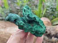 Natural Silky Malachite Specimens x 6 From Kasompe, Congo