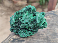 Natural Silky Malachite Specimens x 6 From Kasompe, Congo