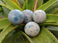 Polished Blue Spotted Spinel in Quartz Spheres x 6 From Madagascar