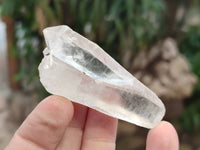 Natural Quartz Crystals x 24 From Madagascar