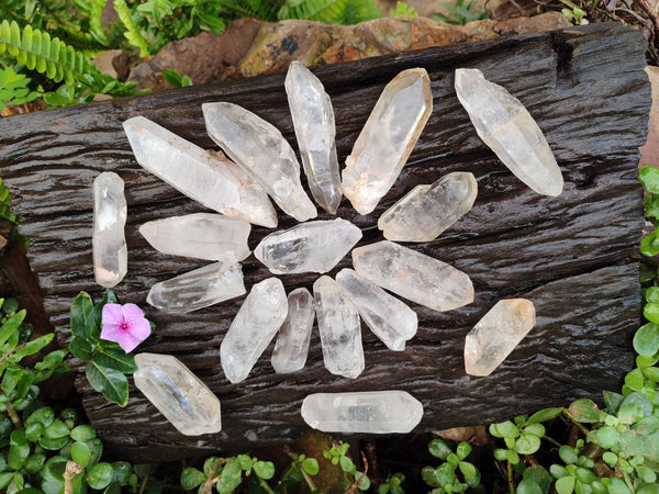 Natural Quartz Crystals x 24 From Madagascar