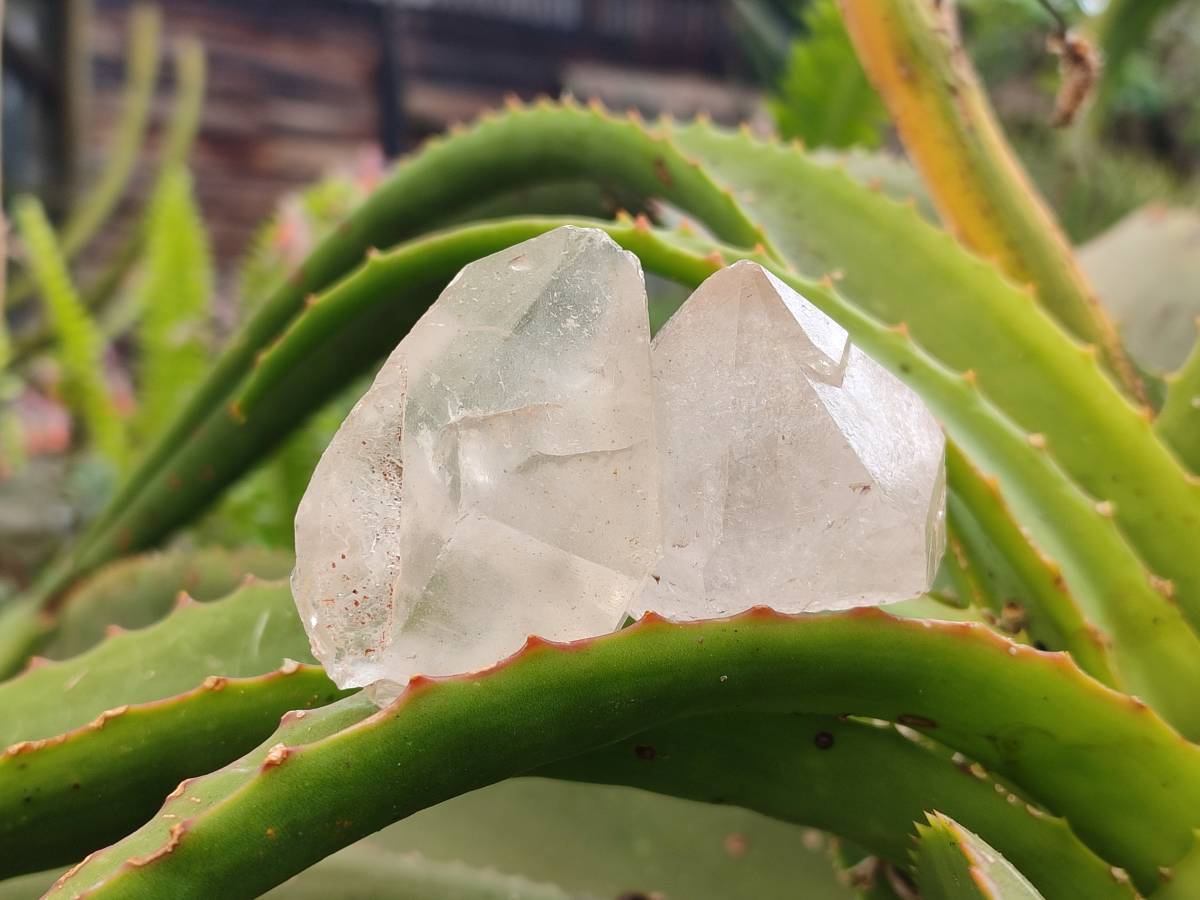 Natural Quartz Crystals x 24 From Madagascar - Toprock Gemstones and Minerals 