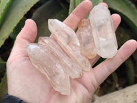 Natural Quartz Crystals x 24 From Madagascar