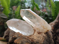 Natural Quartz Crystals x 24 From Madagascar