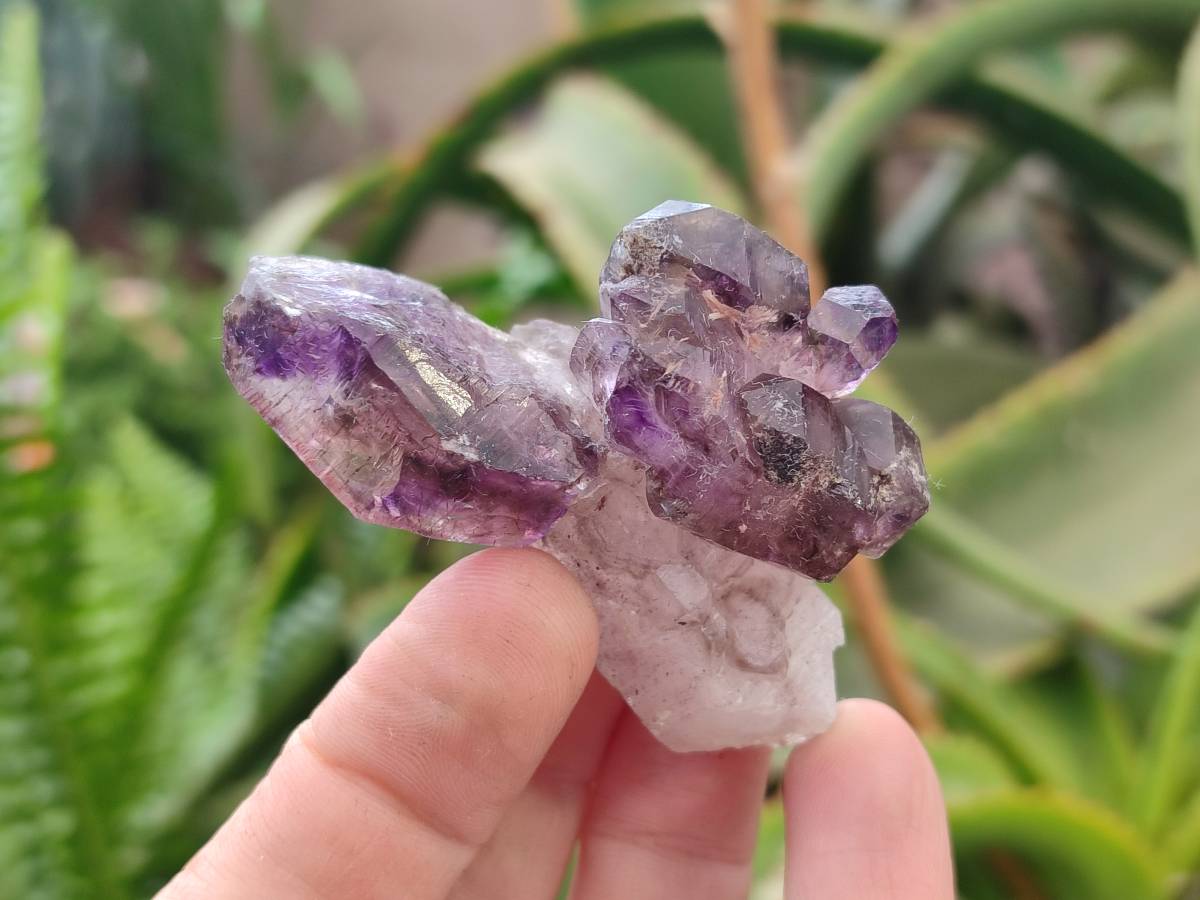 Natural Window Amethyst Crystal Conglomerates x 12 From Chiredzi, Zimbabwe - Toprock Gemstones and Minerals 