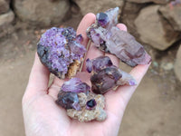 Natural Window Amethyst Crystal Conglomerates x 12 From Chiredzi, Zimbabwe