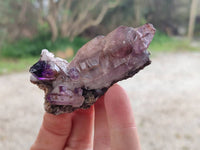 Natural Window Amethyst Crystal Conglomerates x 12 From Chiredzi, Zimbabwe