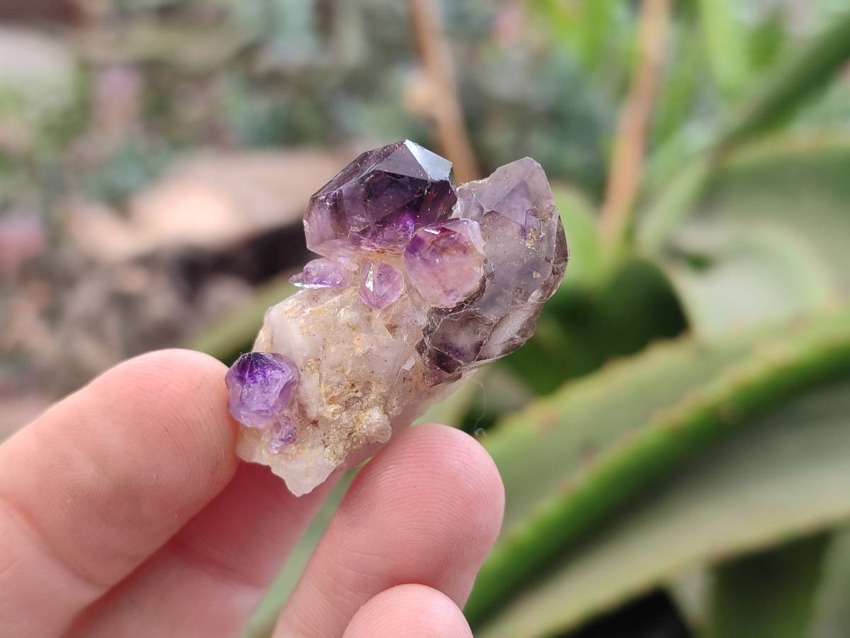 Natural Window Amethyst Crystal Conglomerates x 12 From Chiredzi, Zimbabwe - Toprock Gemstones and Minerals 