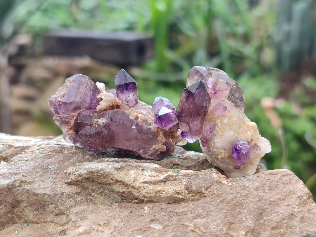 Natural Window Amethyst Crystal Conglomerates x 12 From Chiredzi, Zimbabwe - Toprock Gemstones and Minerals 