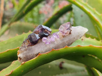 Natural Window Amethyst Crystal Conglomerates x 12 From Chiredzi, Zimbabwe
