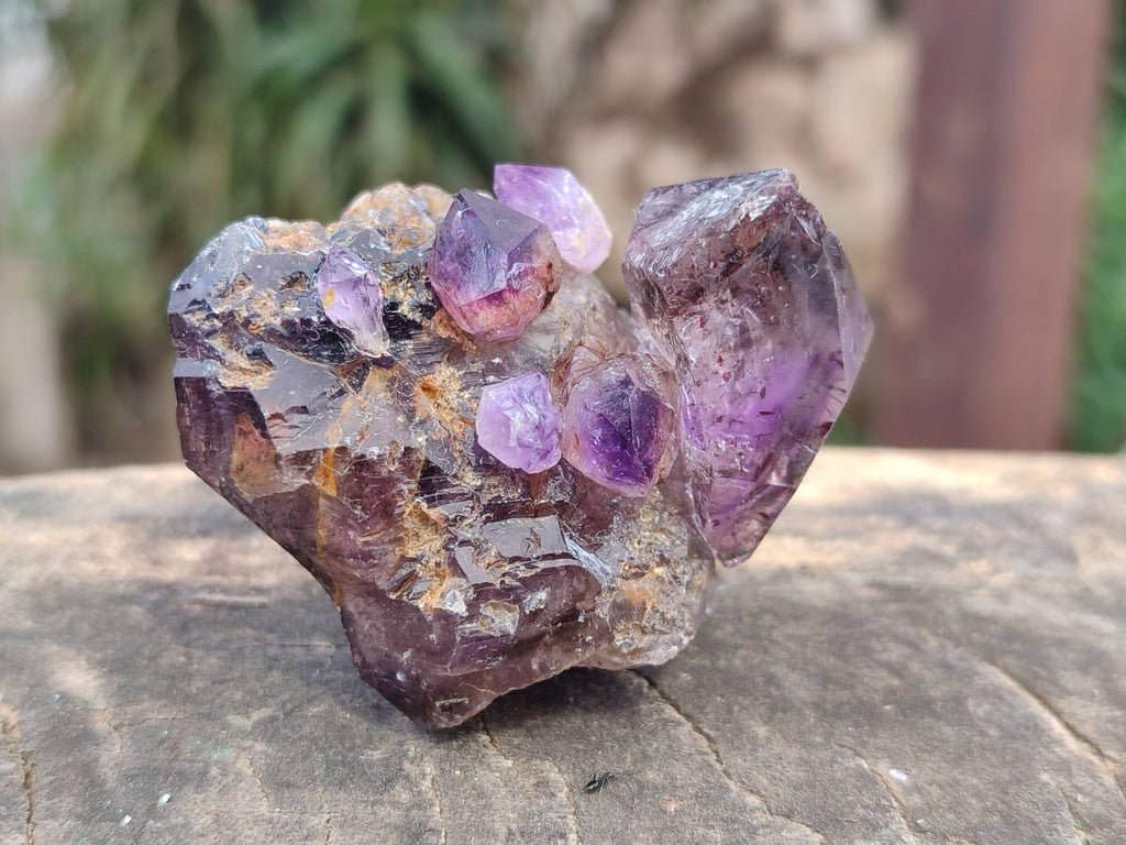 Natural Window Amethyst Crystal Conglomerates x 12 From Chiredzi, Zimbabwe - Toprock Gemstones and Minerals 