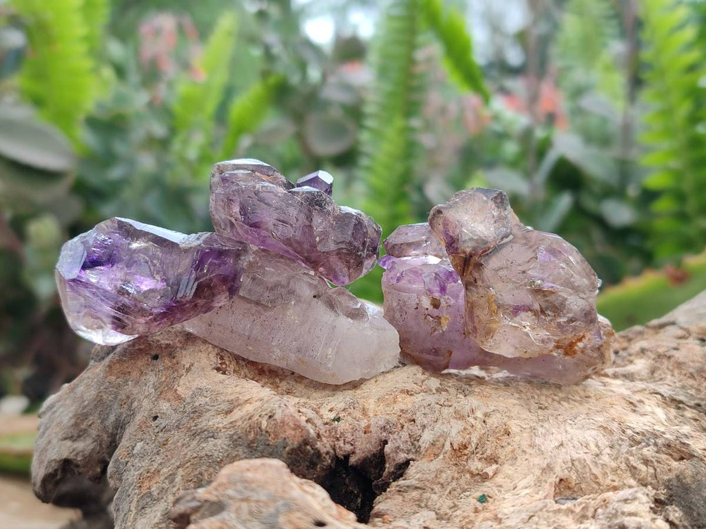 Natural Window Amethyst Crystal Conglomerates x 12 From Chiredzi, Zimbabwe - Toprock Gemstones and Minerals 