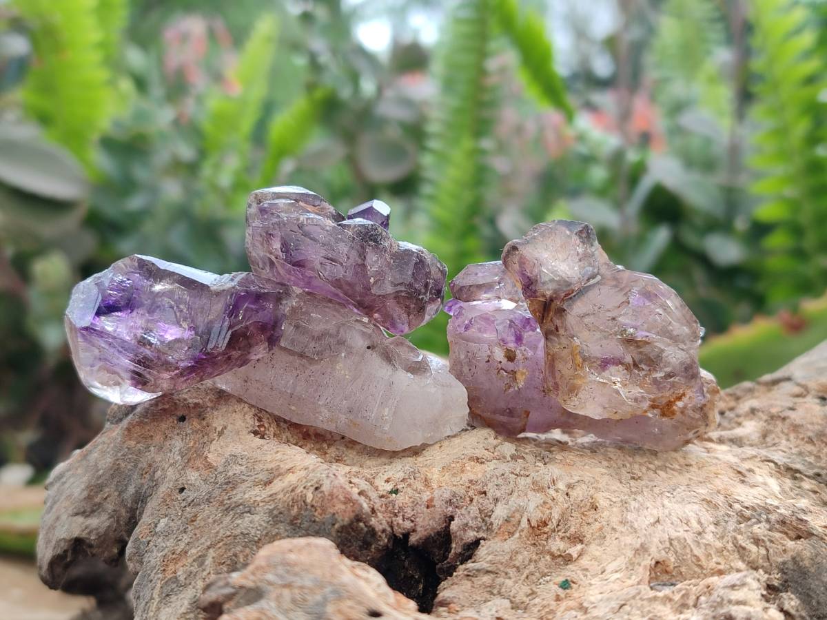 Natural Window Amethyst Crystal Conglomerates x 12 From Chiredzi, Zimbabwe - Toprock Gemstones and Minerals 