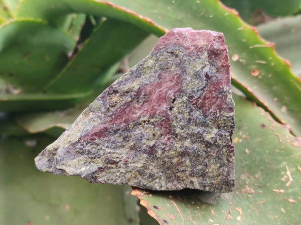 Natural Bastite Dragons Blood Stone Cobbed x 12 From Tshipise, South Africa