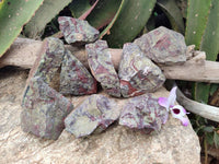 Natural Bastite Dragons Blood Stone Cobbed x 12 From Tshipise, South Africa