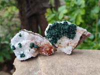 Natural Crystalline Ball Malachite and Quartz On Dolomite Matrix Specimens x 12 From Kambove, Congo
