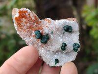 Natural Crystalline Ball Malachite and Quartz On Dolomite Matrix Specimens x 12 From Kambove, Congo
