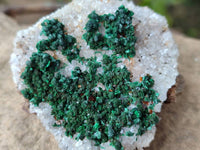Natural Crystalline Ball Malachite and Quartz On Dolomite Matrix Specimens x 12 From Kambove, Congo