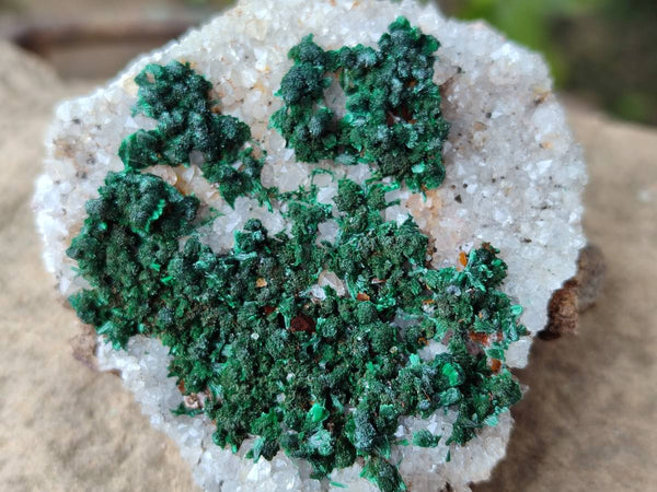 Natural Crystalline Ball Malachite and Quartz On Dolomite Matrix Specimens x 12 From Kambove, Congo