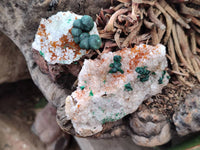 Natural Crystalline Ball Malachite and Quartz On Dolomite Matrix Specimens x 12 From Kambove, Congo
