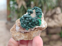 Natural Crystalline Ball Malachite and Quartz On Dolomite Matrix Specimens x 12 From Kambove, Congo