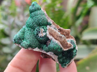 Natural Crystalline Ball Malachite and Quartz On Dolomite Matrix Specimens x 12 From Kambove, Congo