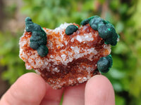 Natural Crystalline Ball Malachite and Quartz On Dolomite Matrix Specimens x 12 From Kambove, Congo