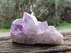 Natural Jacaranda Amethyst Quartz Crystal Clusters x 2 From Mumbwa, Zambia - Toprock Gemstones and Minerals 