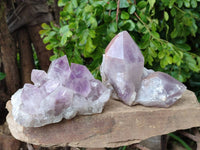 Natural Jacaranda Amethyst Quartz Crystal Clusters x 2 From Mumbwa, Zambia