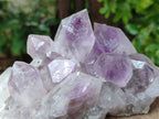Natural Jacaranda Amethyst Quartz Crystal Clusters x 2 From Mumbwa, Zambia - Toprock Gemstones and Minerals 