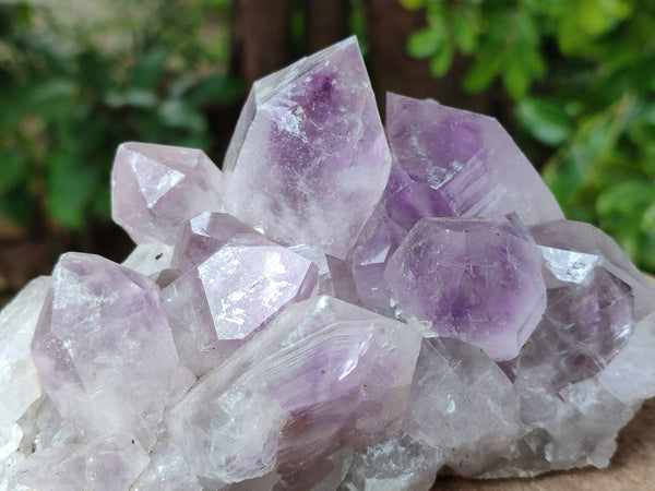 Natural Jacaranda Amethyst Quartz Crystal Clusters x 2 From Mumbwa, Zambia