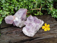 Natural Jacaranda Amethyst Quartz Crystal Clusters x 2 From Mumbwa, Zambia