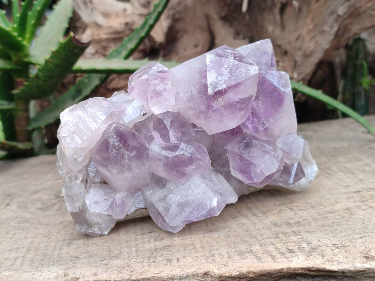 Natural Jacaranda Amethyst Quartz Crystal Clusters x 2 From Mumbwa, Zambia - Toprock Gemstones and Minerals 