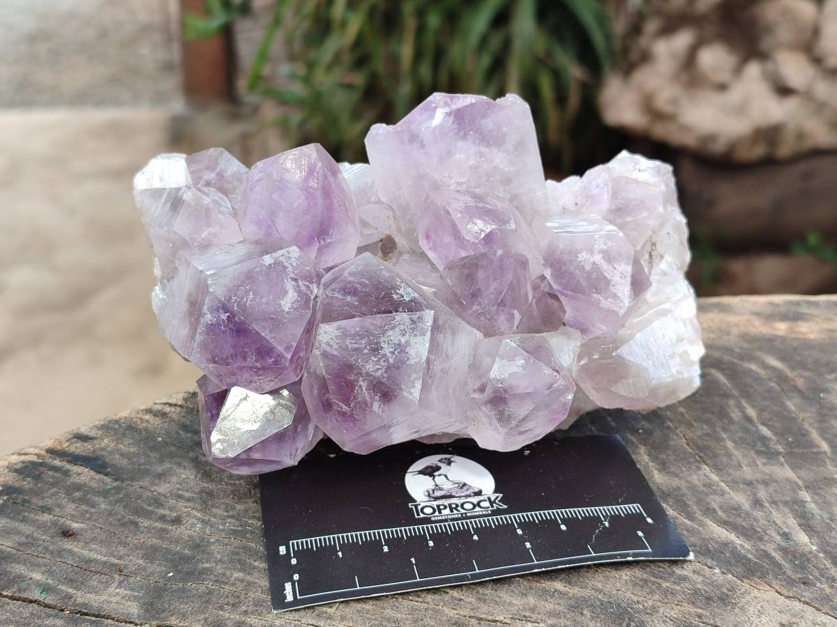 Natural Jacaranda Amethyst Quartz Crystal Clusters x 2 From Mumbwa, Zambia - Toprock Gemstones and Minerals 