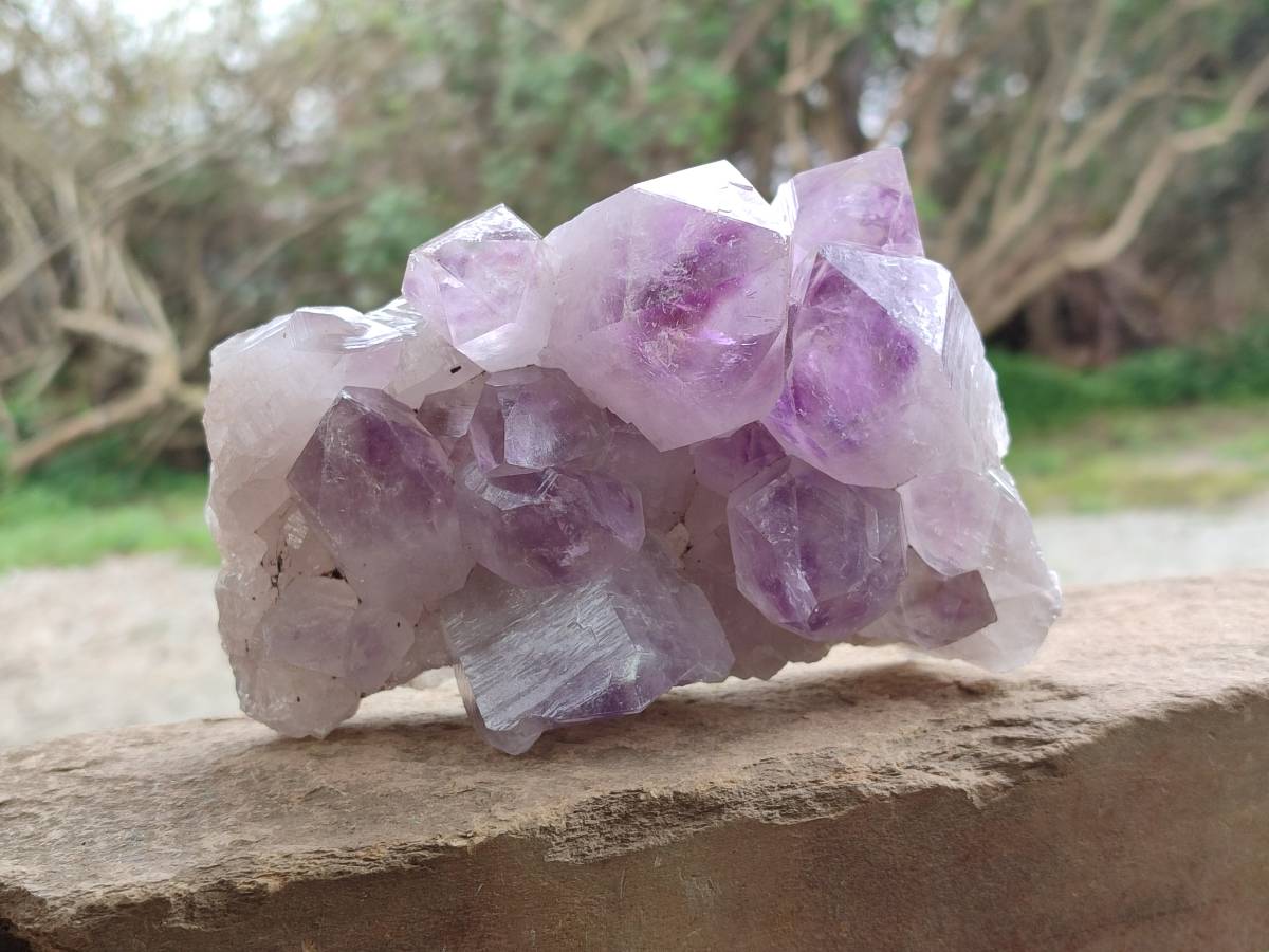 Natural Jacaranda Amethyst Quartz Crystal Clusters x 2 From Mumbwa, Zambia - Toprock Gemstones and Minerals 