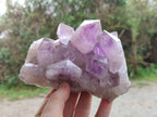 Natural Jacaranda Amethyst Quartz Crystal Clusters x 2 From Mumbwa, Zambia - Toprock Gemstones and Minerals 