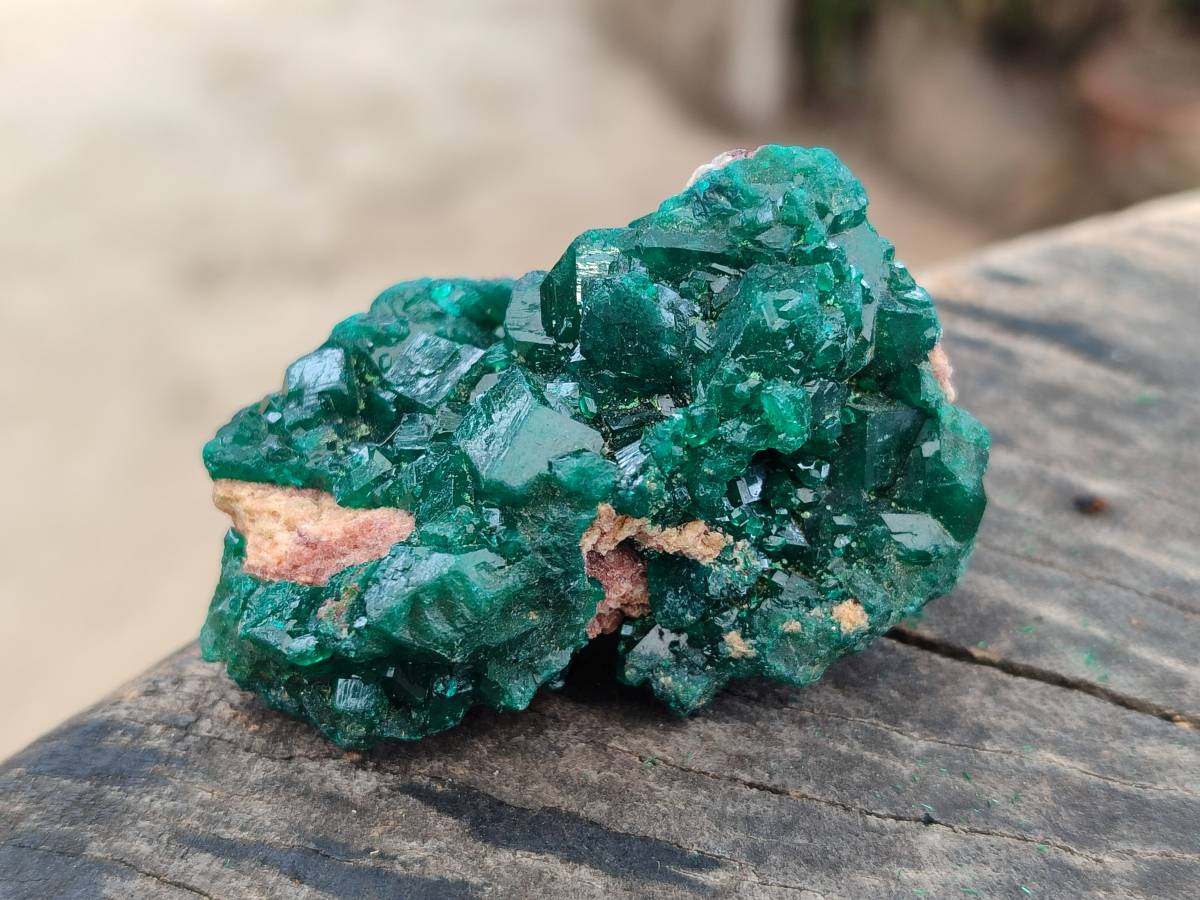 Natural Dioptase On Dolomite Specimens x 8 From Likasi, Congo - Toprock Gemstones and Minerals 