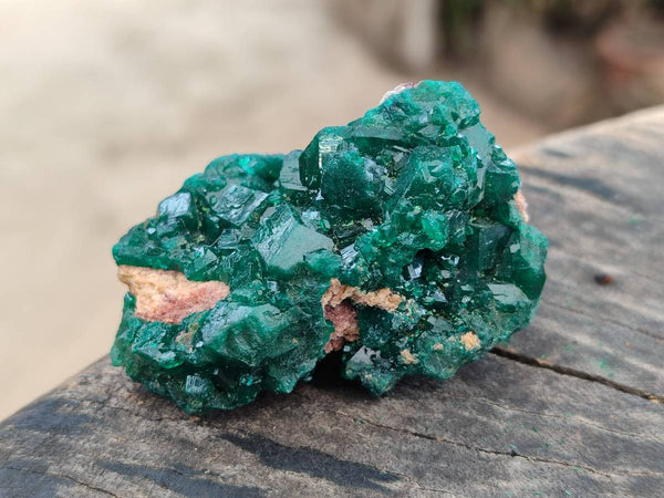 Natural Dioptase On Dolomite Specimens x 8 From Likasi, Congo