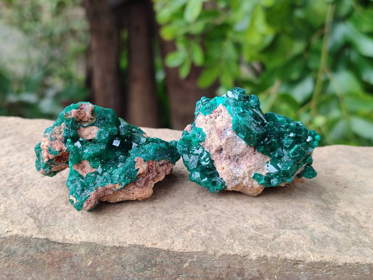 Natural Dioptase On Dolomite Specimens x 8 From Likasi, Congo - Toprock Gemstones and Minerals 