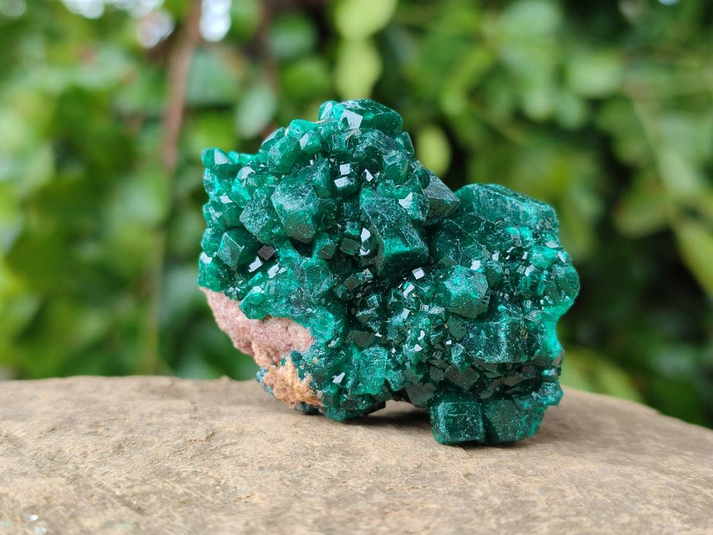 Natural Dioptase On Dolomite Specimens x 8 From Likasi, Congo - Toprock Gemstones and Minerals 
