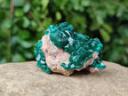 Natural Dioptase On Dolomite Specimens x 8 From Likasi, Congo - Toprock Gemstones and Minerals 